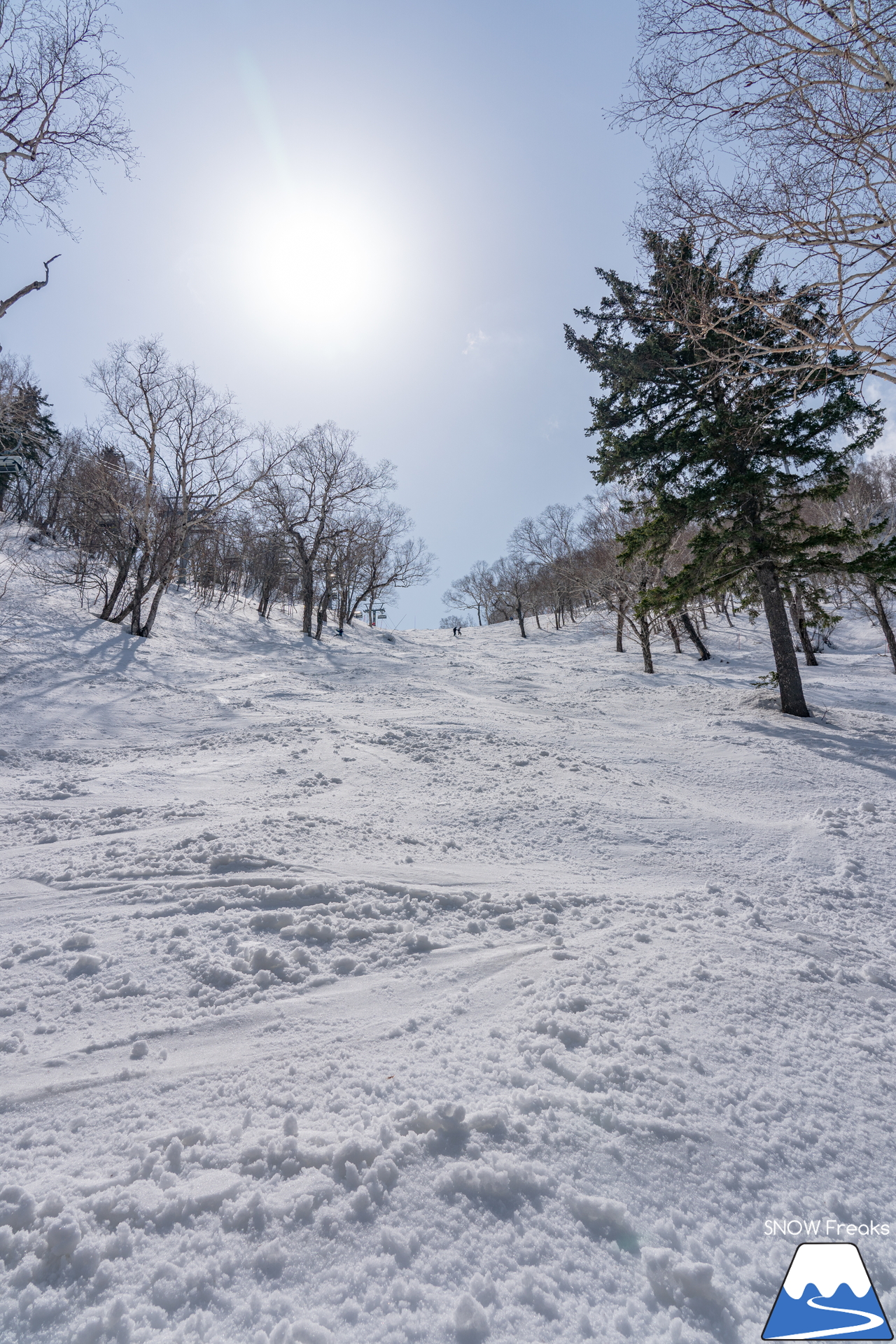 サッポロテイネ｜ハイランドゾーン山頂の積雪は 360cm。5月5日（祝）までの土･日･祝限定で、特別春スキー営業中(^^)/